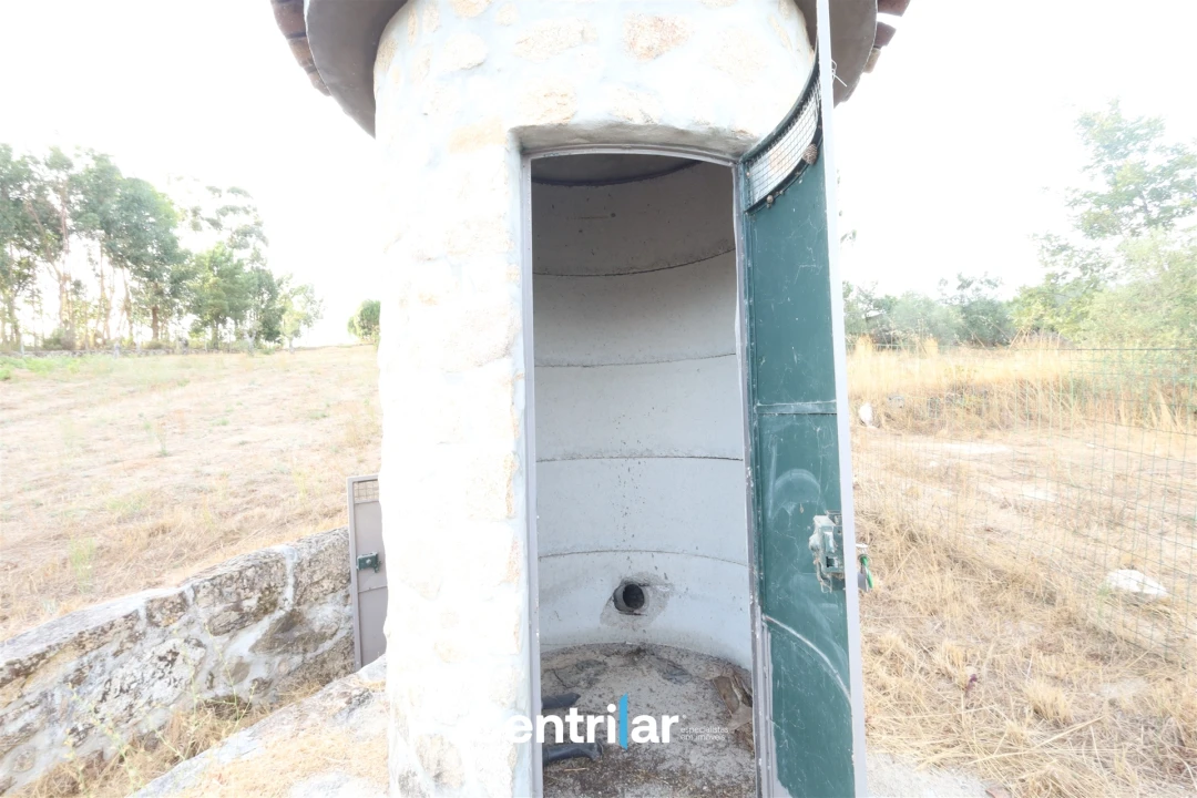 Terreno Agricola ou Rústico para Venda em Abrunhosa-A-Velha Foto 4