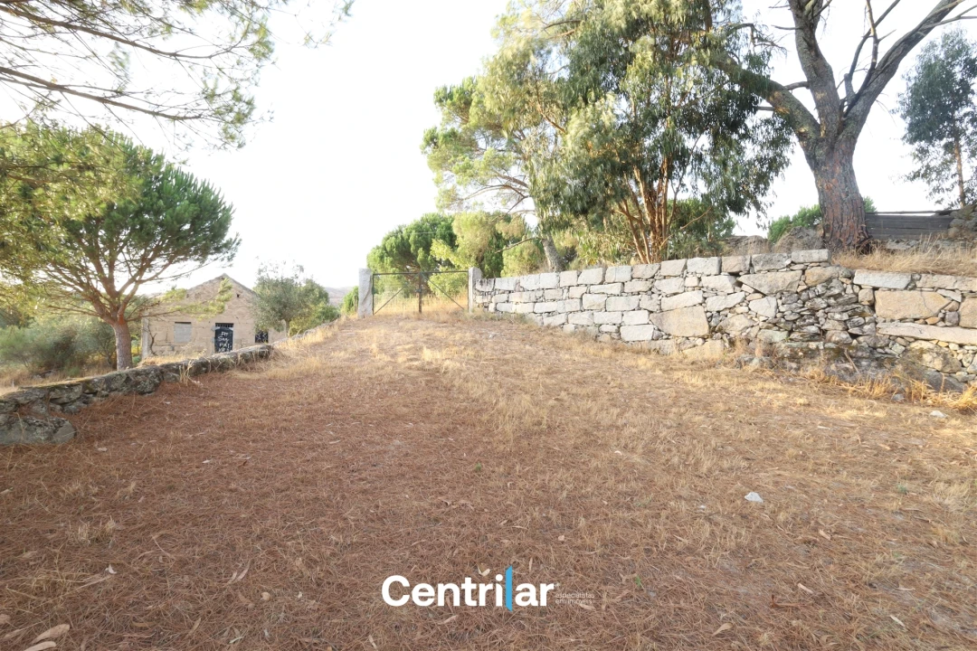 Terreno Agricola ou Rústico para Venda em Abrunhosa-A-Velha Foto 9