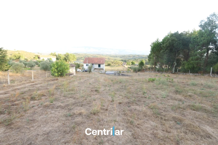 Terreno Agricola ou Rústico para Venda em Abrunhosa-A-Velha Foto 6