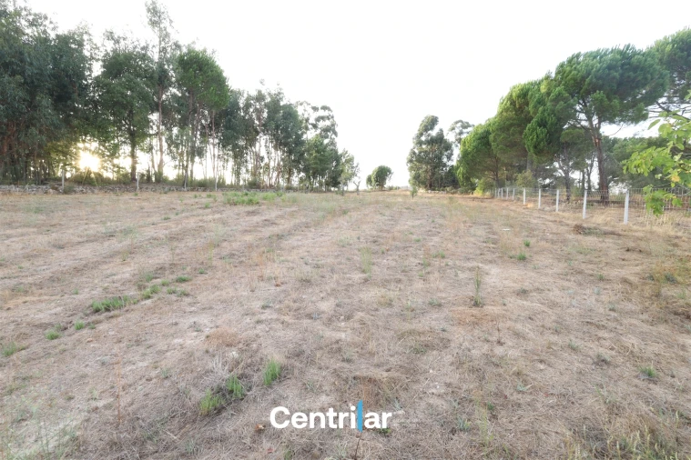 Terreno Agricola ou Rústico para Venda em Abrunhosa-A-Velha Foto 5