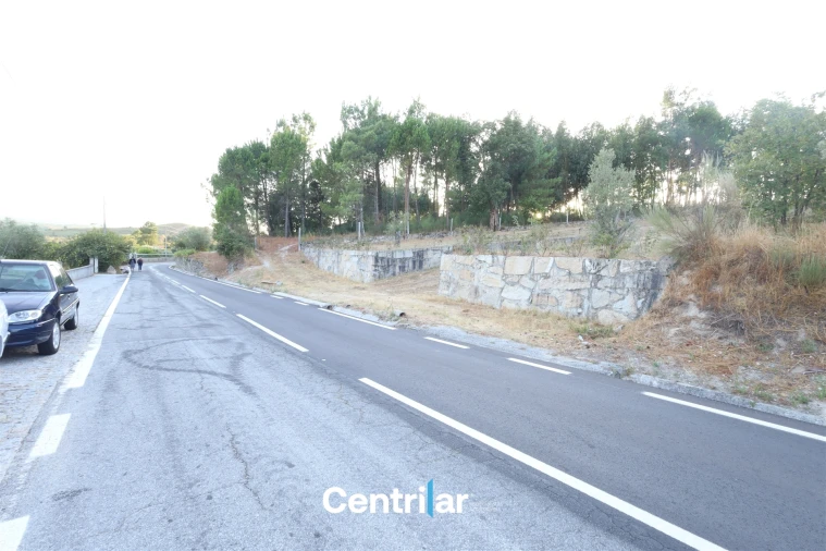 Terreno Agricola ou Rústico para Venda em Abrunhosa-A-Velha Foto 11