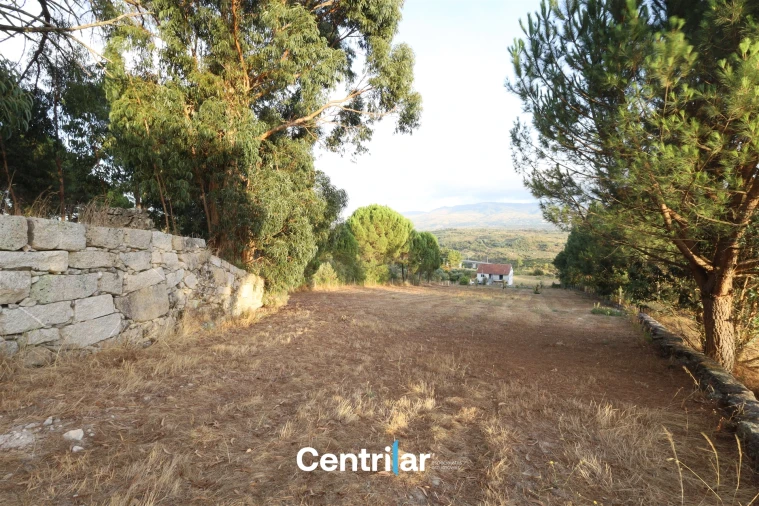 Terreno Agricola ou Rústico para Venda em Abrunhosa-A-Velha Foto 10