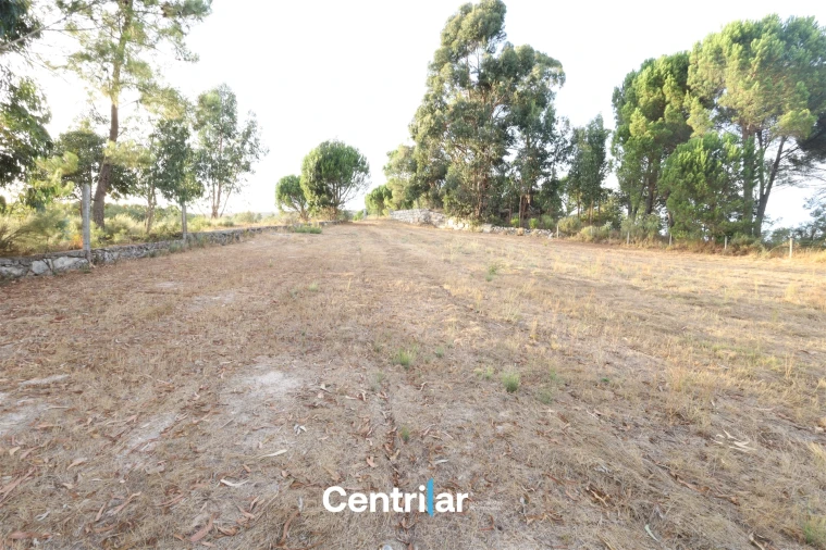 Terreno Agricola ou Rústico para Venda em Abrunhosa-A-Velha Foto 8
