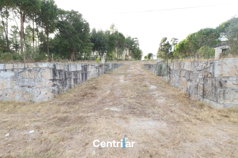 Terreno Agricola ou Rústico para Venda em Abrunhosa-A-Velha Foto 2