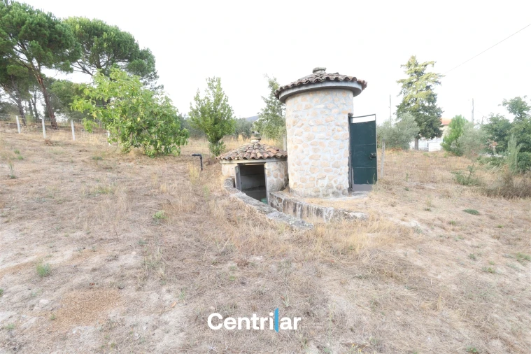 Terreno Agricola ou Rústico para Venda em Abrunhosa-A-Velha Foto 3