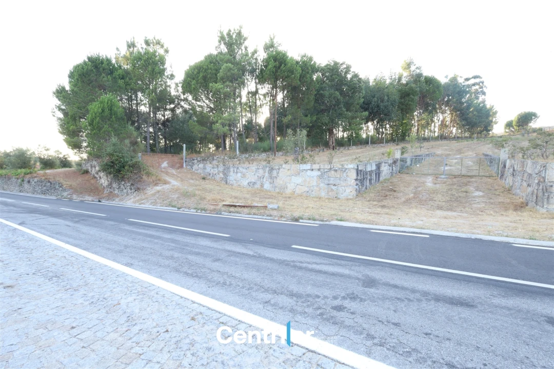 Terreno Agricola ou Rústico para Venda em Abrunhosa-A-Velha Foto 12