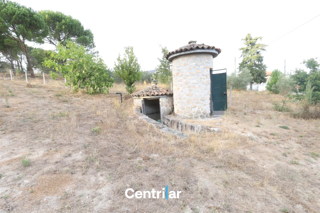 Terreno Agricola ou Rústico para Venda em Abrunhosa-A-Velha Foto 3