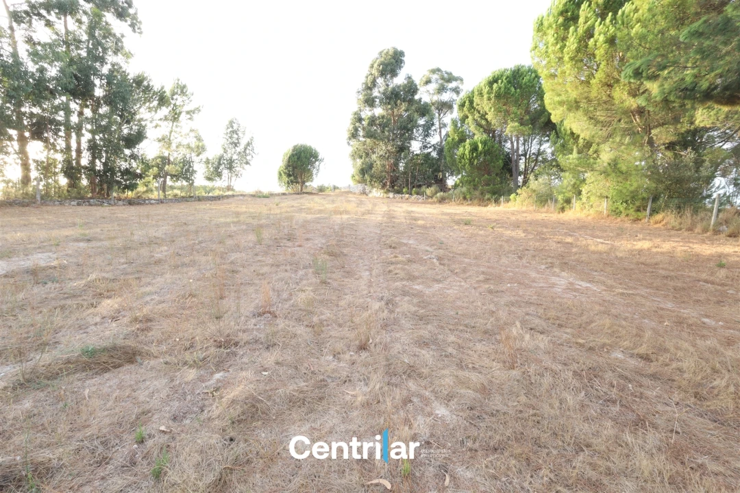 Terreno Agricola ou Rústico para Venda em Abrunhosa-A-Velha Foto 7