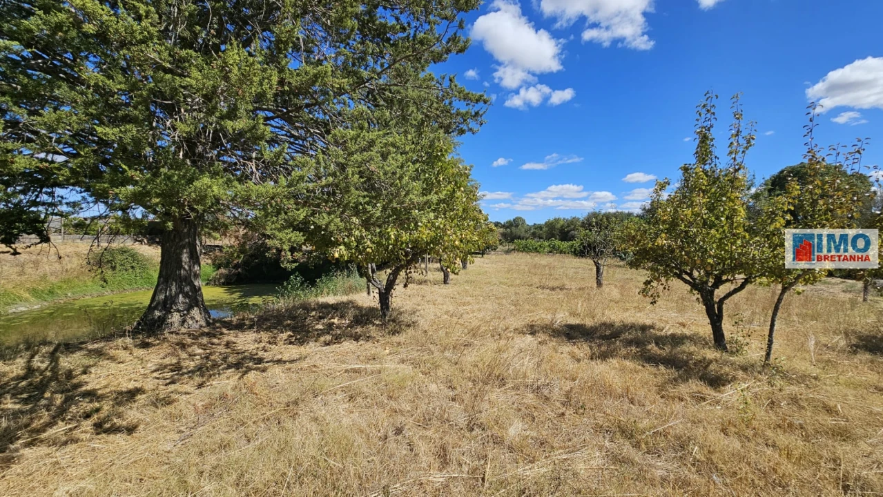 Terreno para Venda em Castelo Branco Foto 30