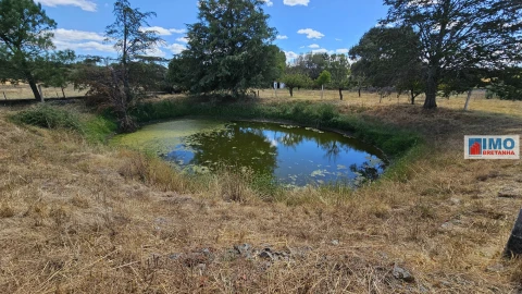 Terreno para Venda em Castelo Branco