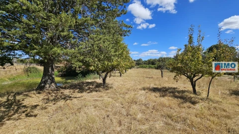 Terreno para Venda em Castelo Branco