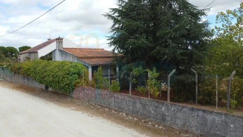 Terreno para Venda em Castelo Branco