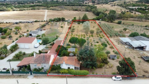 Terreno para Venda em Castelo Branco