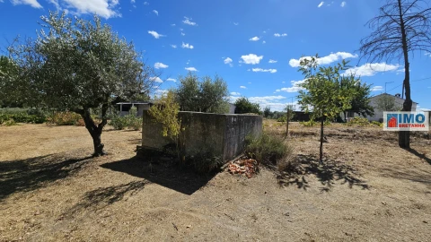 Terreno para Venda em Castelo Branco
