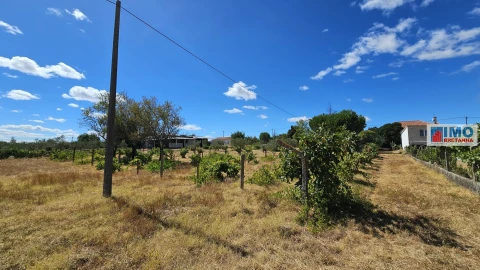 Terreno para Venda em Castelo Branco