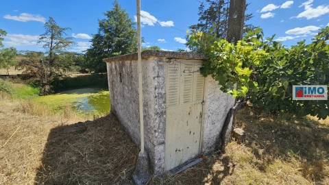 Terreno para Venda em Castelo Branco