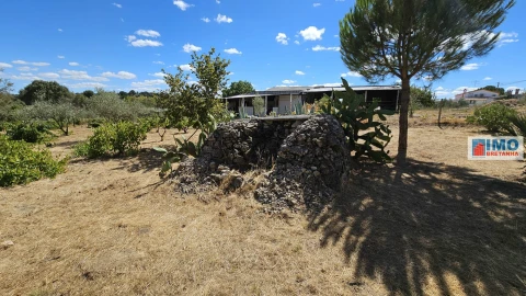 Terreno para Venda em Castelo Branco