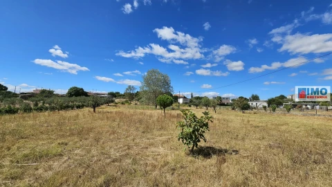 Terreno para Venda em Castelo Branco