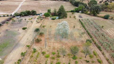 Terreno para Venda em Castelo Branco