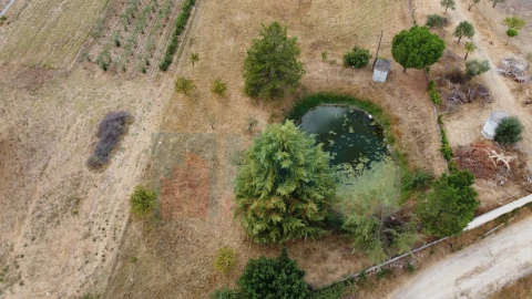 Terreno para Venda em Castelo Branco