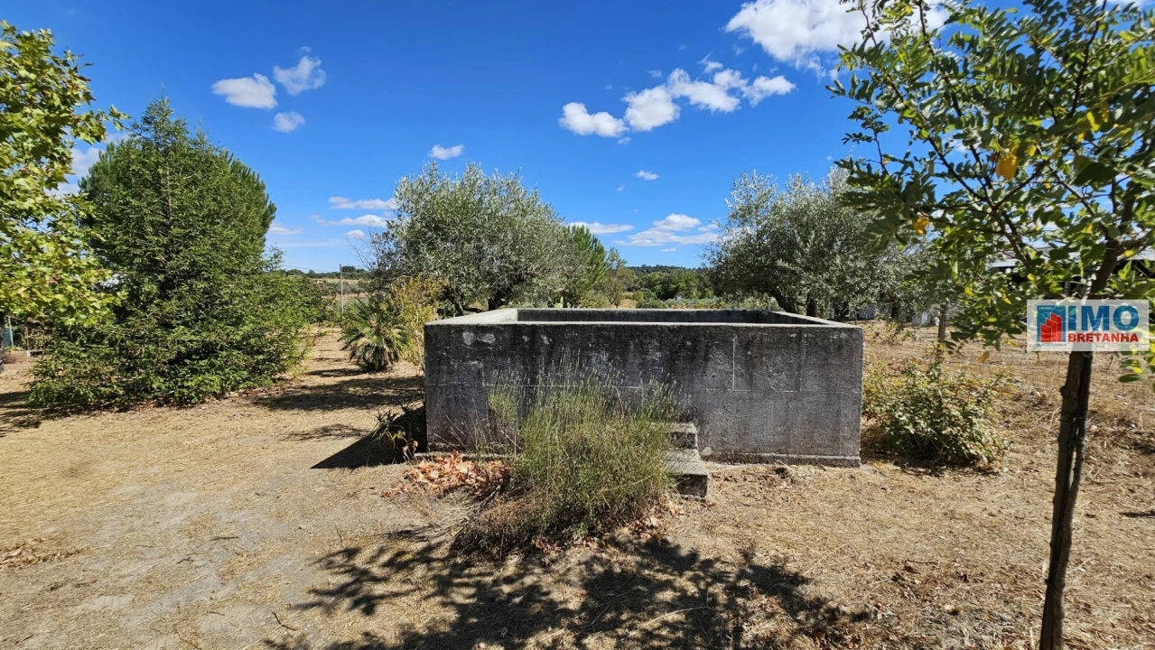Terreno para Venda em Castelo Branco Foto 22