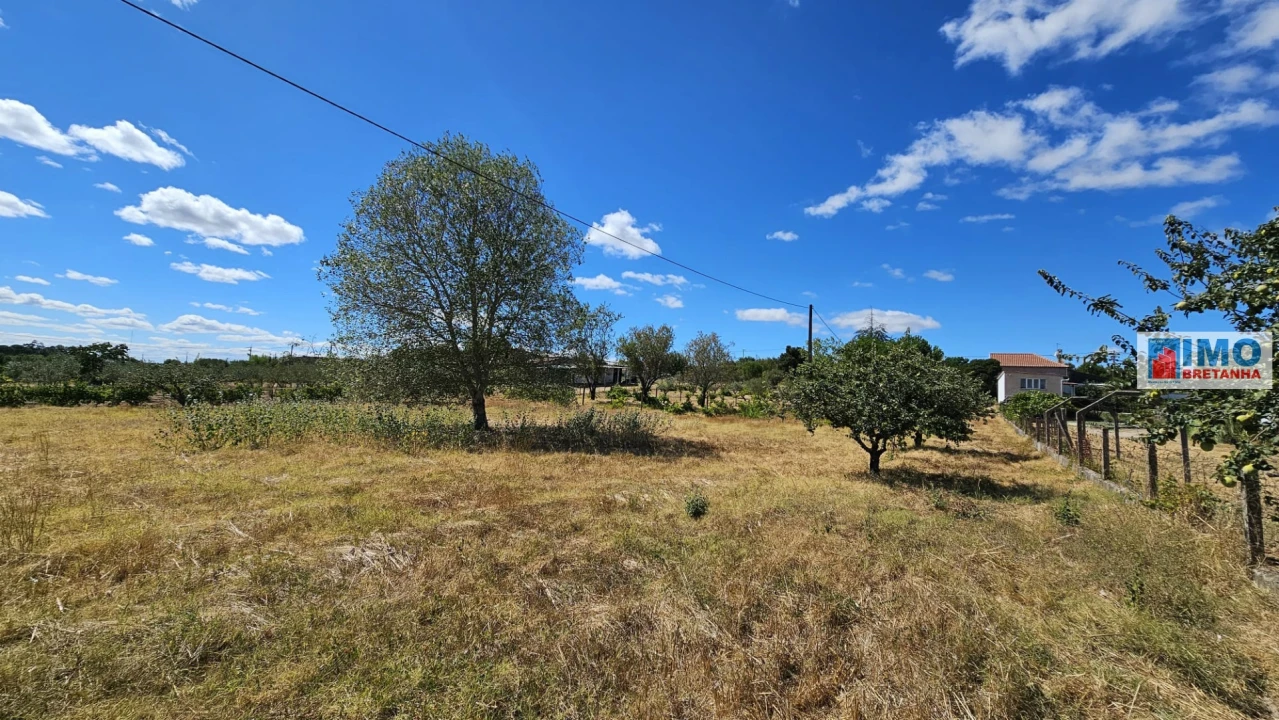 Terreno para Venda em Castelo Branco Foto 28
