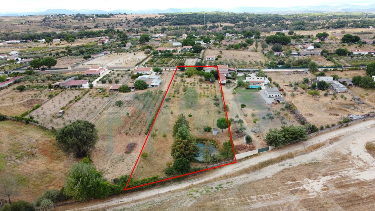 Terreno para Venda em Castelo Branco Foto 2