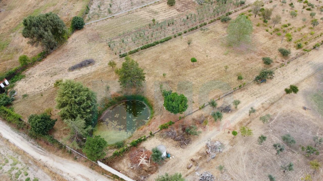 Terreno para Venda em Castelo Branco Foto 39