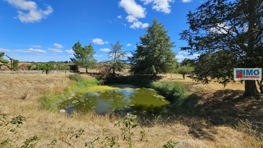 Terreno para Venda em Castelo Branco Foto 17