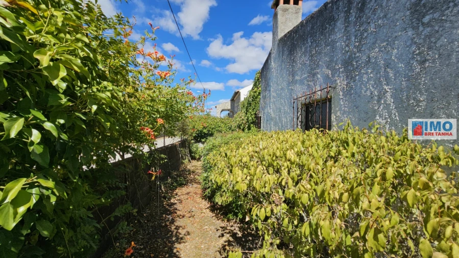 Terreno para Venda em Castelo Branco Foto 20