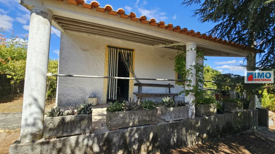 Terreno para Venda em Castelo Branco Foto 4