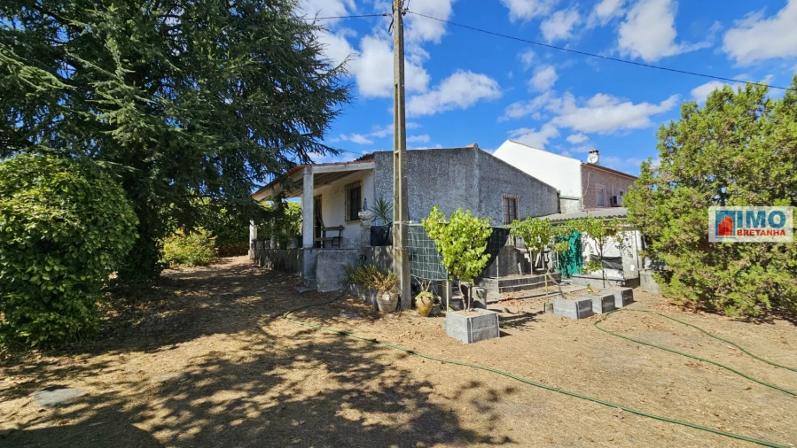 Terreno para Venda em Castelo Branco Foto 6