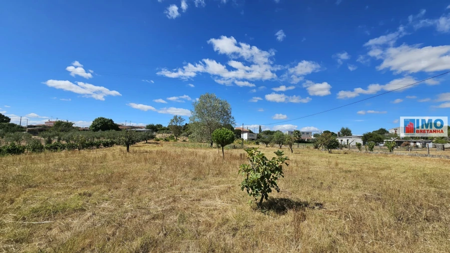 Terreno para Venda em Castelo Branco Foto 31