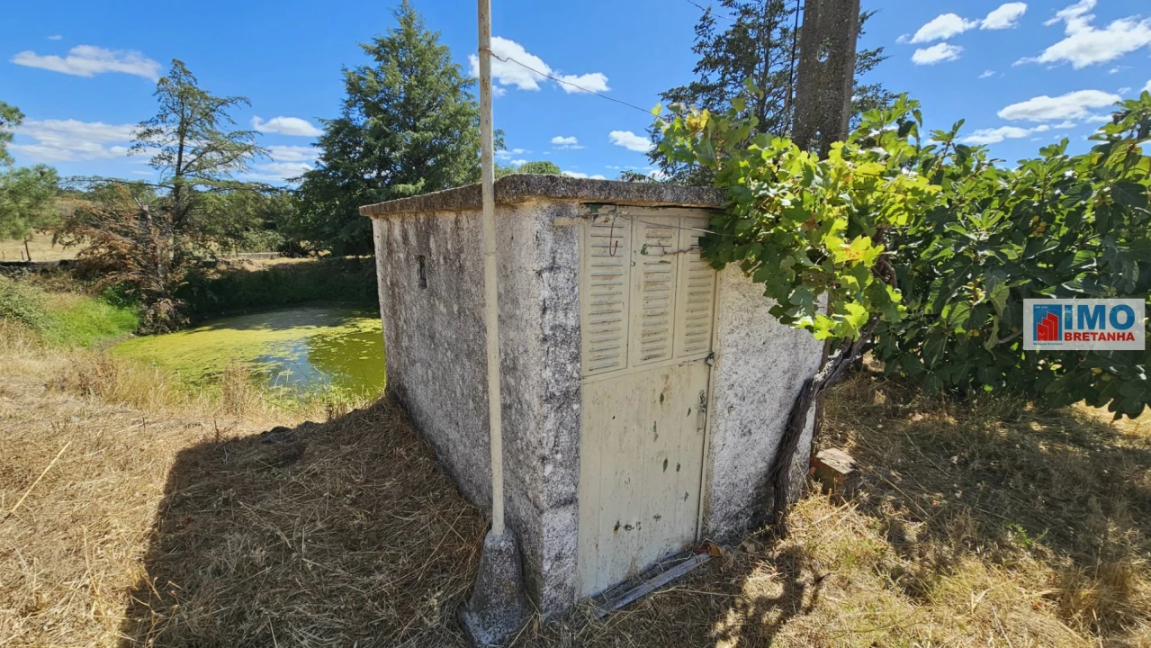 Terreno para Venda em Castelo Branco Foto 33