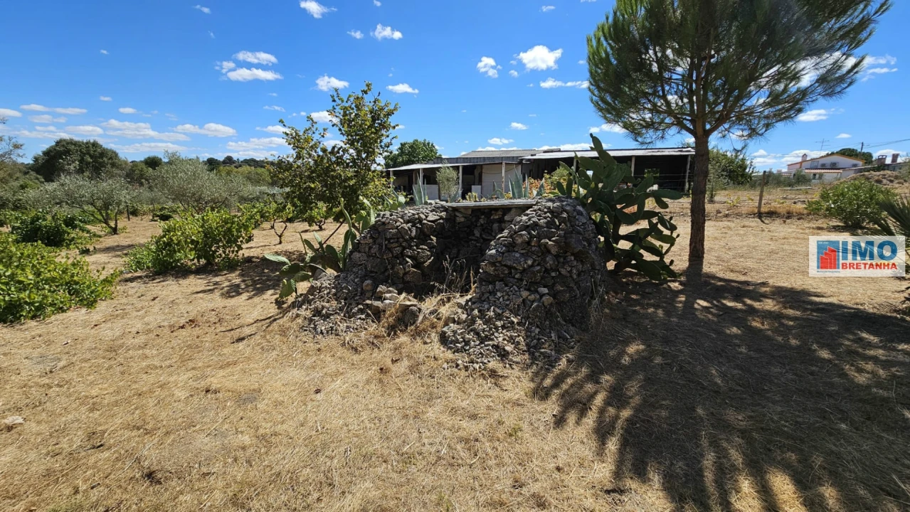 Terreno para Venda em Castelo Branco Foto 25