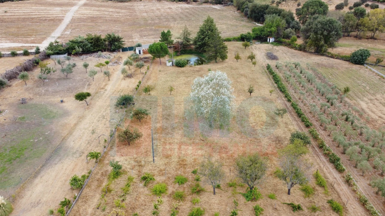 Terreno para Venda em Castelo Branco Foto 37