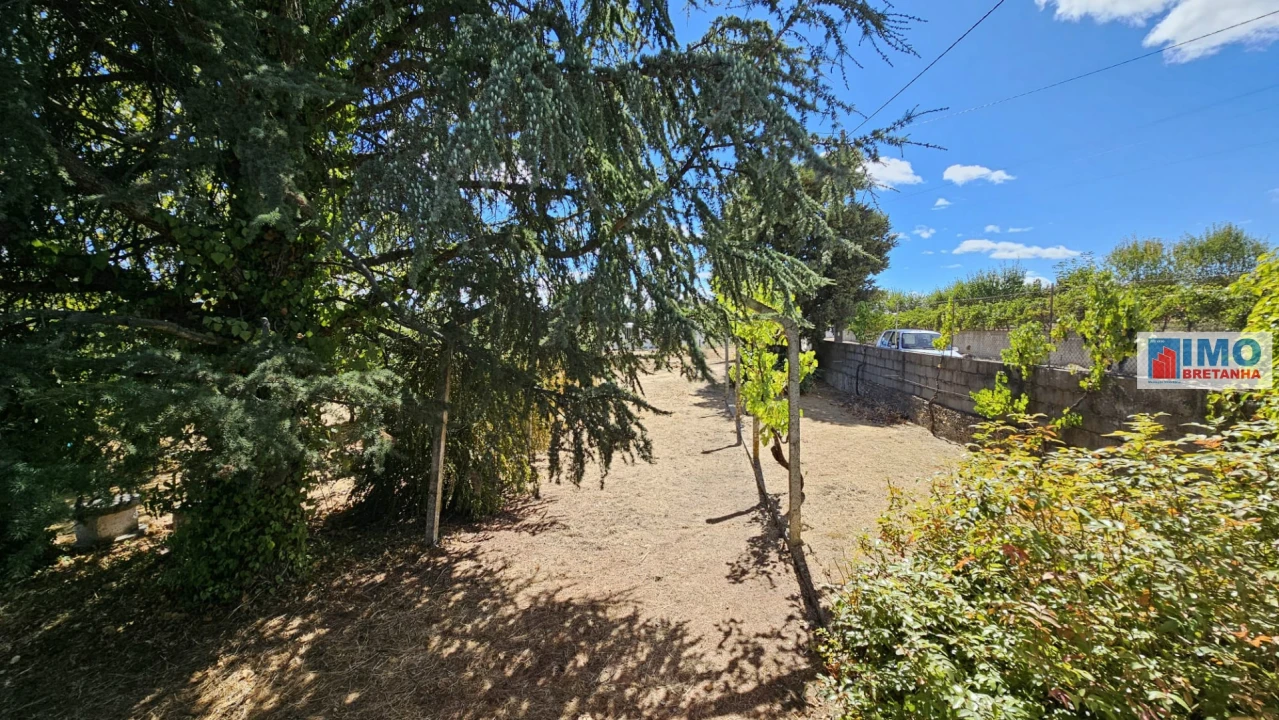 Terreno para Venda em Castelo Branco Foto 18