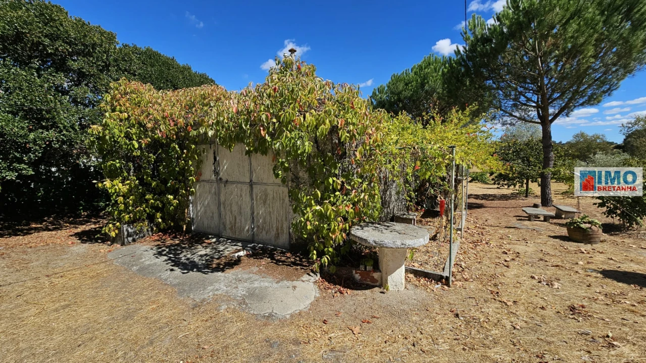 Terreno para Venda em Castelo Branco Foto 7