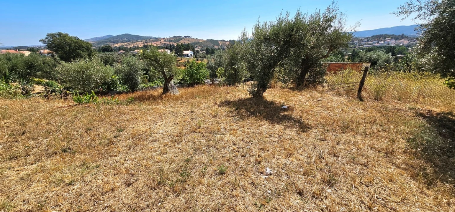 Terreno para Venda em Dominguizo Foto 11