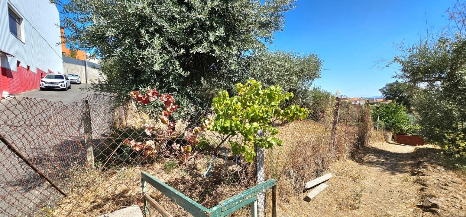 Terreno para Venda em Dominguizo Foto 5