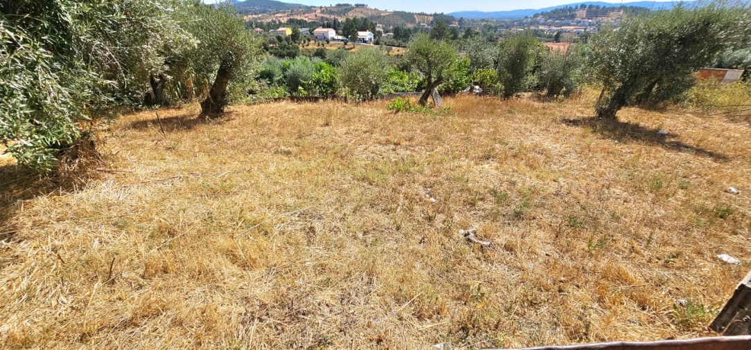 Terreno para Venda em Dominguizo Foto 12