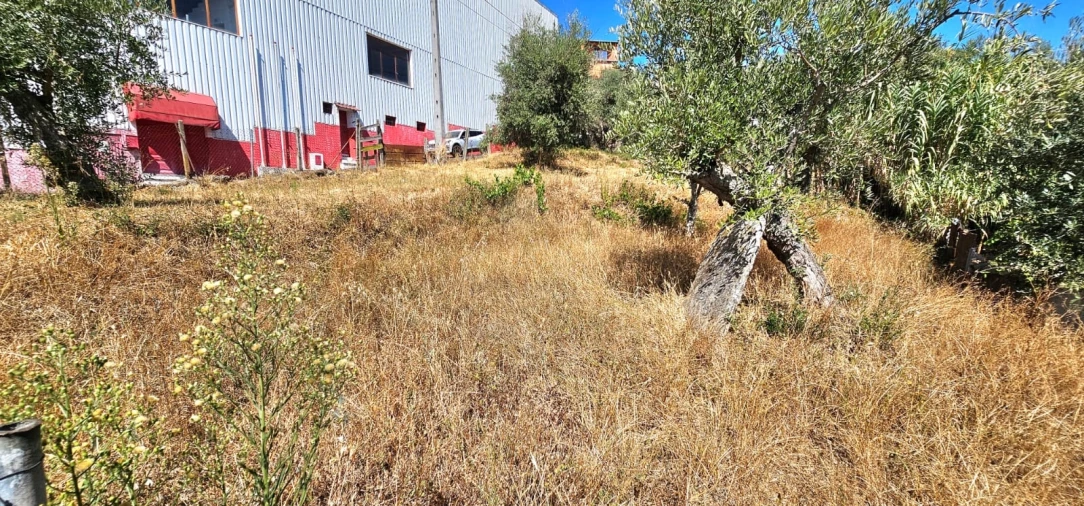 Terreno para Venda em Dominguizo Foto 8