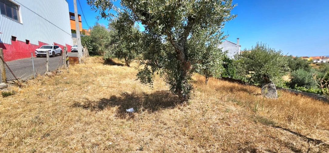 Terreno para Venda em Dominguizo Foto 9