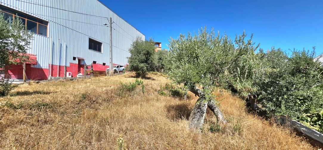 Terreno para Venda em Dominguizo Foto 10