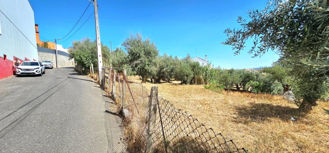 Terreno para Venda em Dominguizo Foto 4