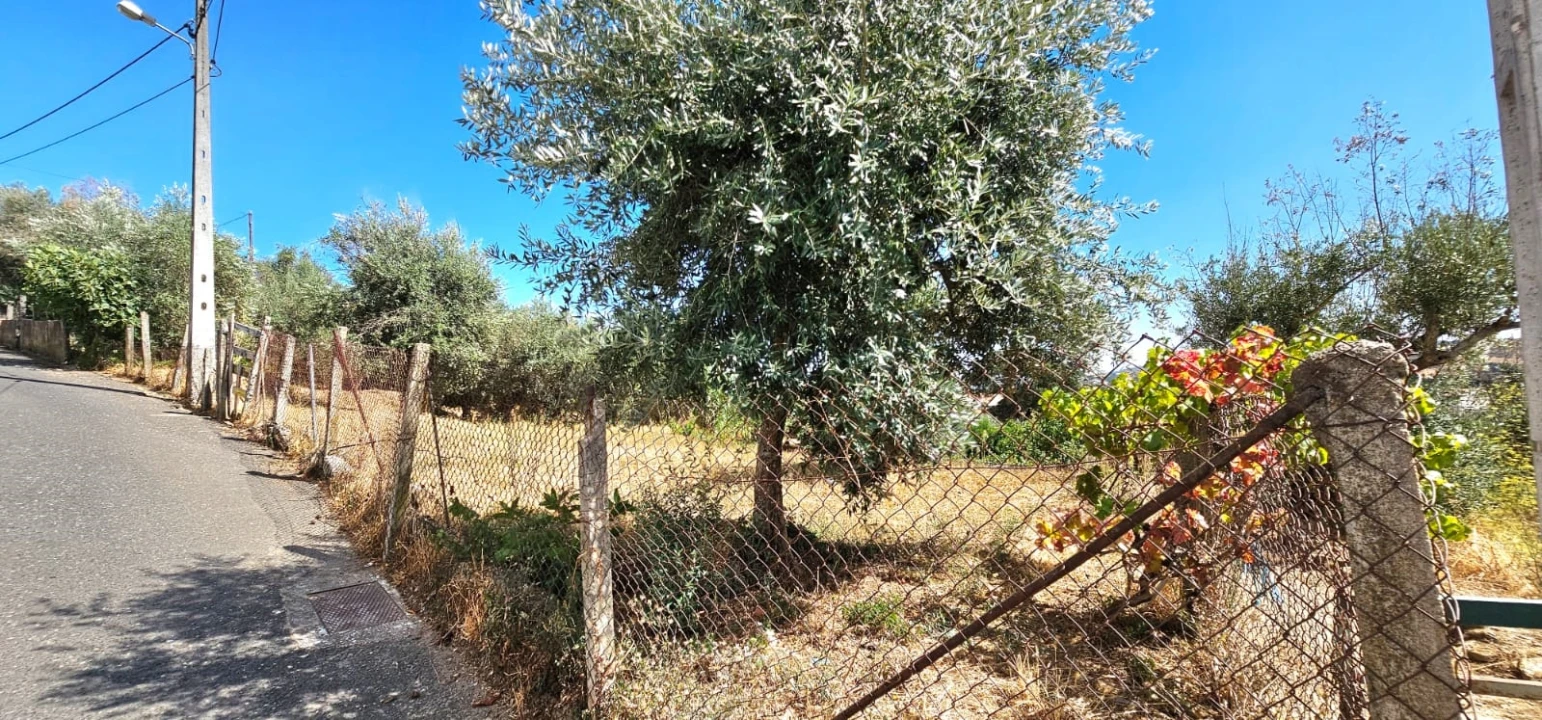 Terreno para Venda em Dominguizo Foto 7