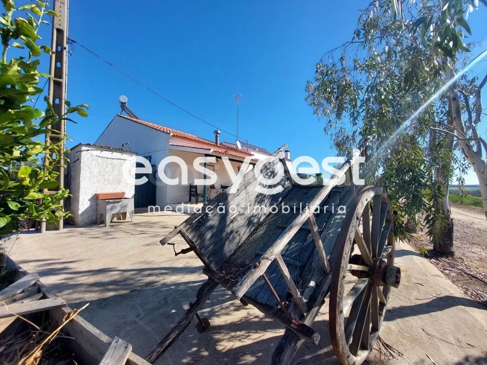 Quinta T3 para Venda em Safara e Santo Aleixo da Restauração Foto 18