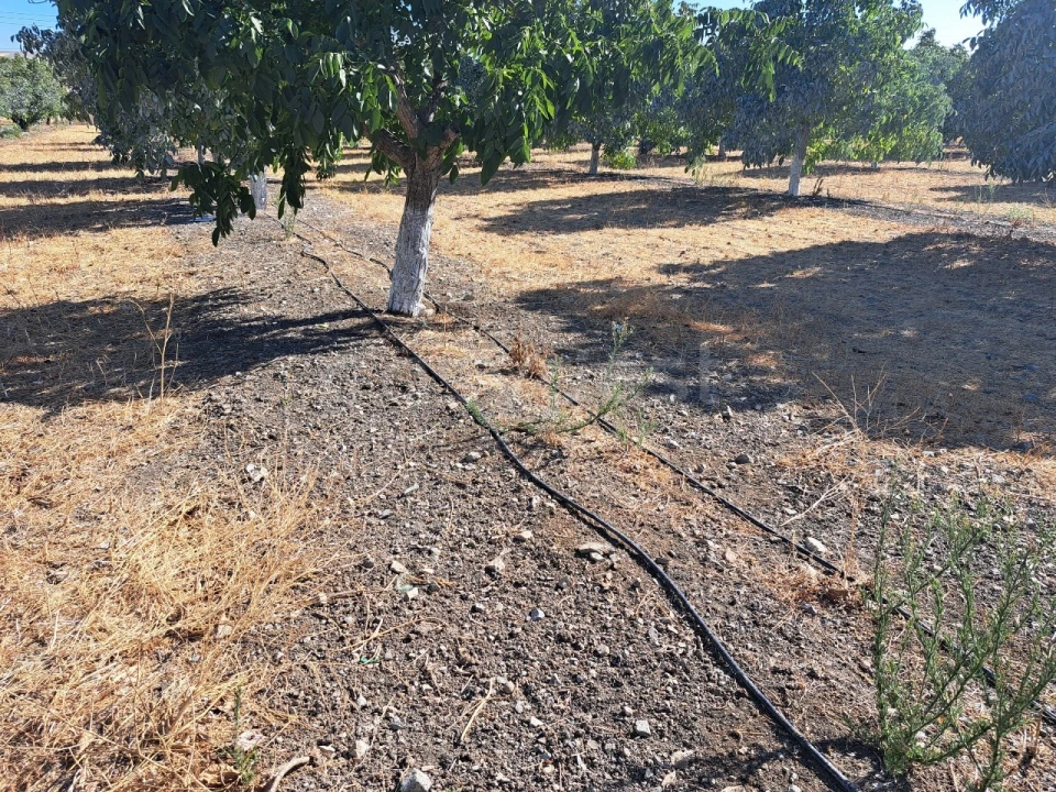 Moradia T4 para Venda em Ferreira do Alentejo e Canhestros Foto 21