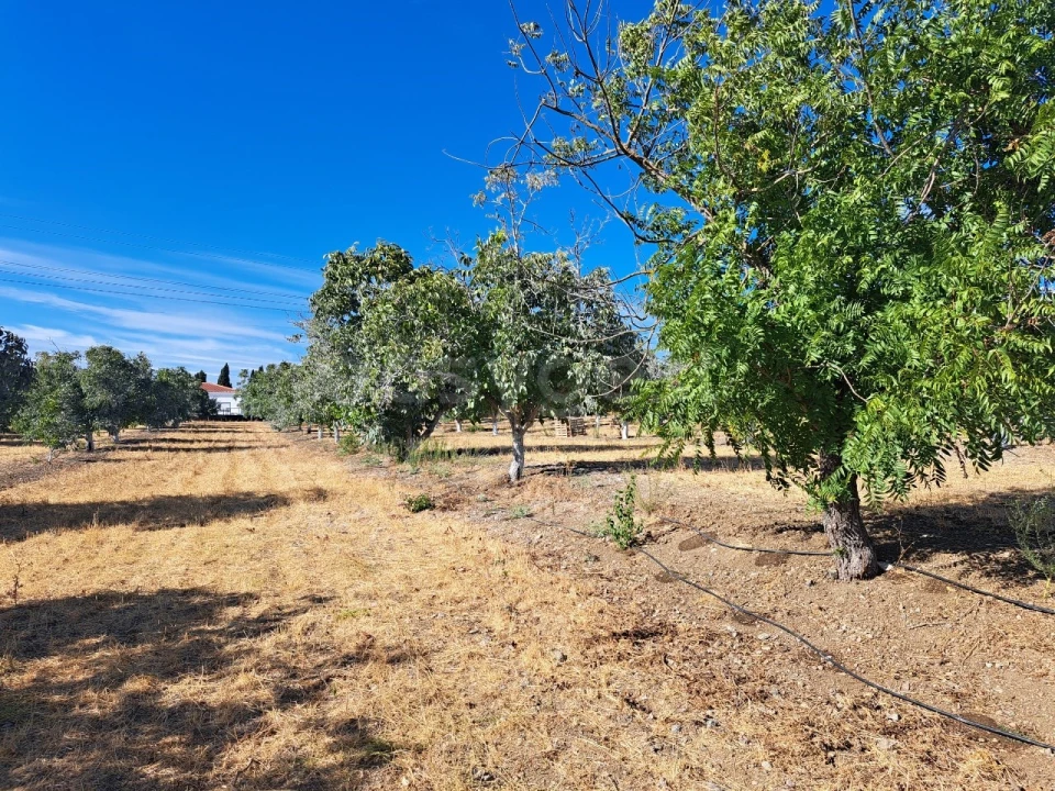 Moradia T4 para Venda em Ferreira do Alentejo e Canhestros Foto 25