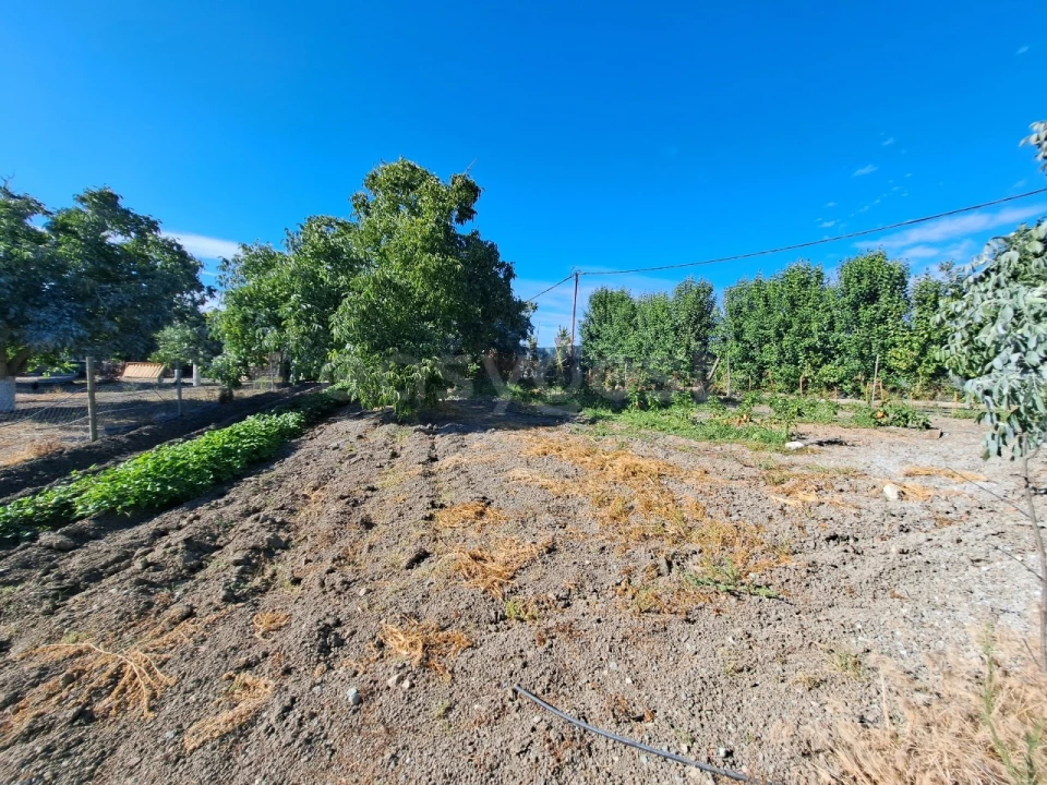 Moradia T4 para Venda em Ferreira do Alentejo e Canhestros Foto 26